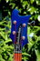 Rickenbacker 4004/4 Laredo, Midnightblue: Headstock