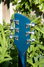 Rickenbacker 360/6 , Midnightblue: Headstock - Rear