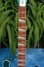 Rickenbacker 660/12 , Turquoise: Neck - Front