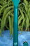 Rickenbacker 660/12 , Turquoise: Neck - Rear