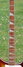 Rickenbacker 4003/4 , MonteBrown: Neck - Front
