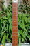 Rickenbacker 330/12 , Mapleglo: Neck - Front