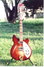 Rickenbacker 360/12 , Fireglo: Full Instrument - Front