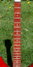 Rickenbacker 350/6 V63, Burgundy: Neck - Front