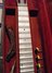 Rickenbacker A22/6 LapSteel, Aluminum: Free image