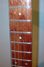 Rickenbacker 330/6 , Midnightblue: Neck - Front