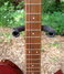 Rickenbacker 450/6 Combo, Custom: Neck - Front