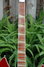 Rickenbacker 360/12 V64, Fireglo: Neck - Front