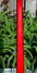 Rickenbacker 4001/4 C64, Fireglo: Neck - Rear