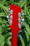 Rickenbacker 360/12 WB, Ruby: Headstock - Rear