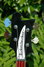 Mar 2008 Rickenbacker 4003/4 , Jetglo: Headstock