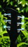 Rickenbacker 330/6 , Jetglo: Headstock - Rear