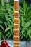 Rickenbacker 360/6 , Amber Fireglo: Neck - Front