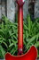 Rickenbacker 360/6 , Amber Fireglo: Neck - Rear