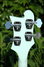 Rickenbacker 4003/4 VP, Blue Boy: Headstock - Rear