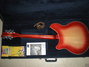 Rickenbacker 360/12 , Fireglo: Full Instrument - Rear