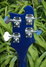 Rickenbacker 4003/4 , Midnightblue: Headstock - Rear
