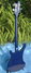 Rickenbacker 4003/4 , Midnightblue: Full Instrument - Rear