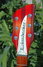 Rickenbacker 330/6 , Amber Fireglo: Headstock