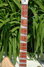 Rickenbacker 360/12 , Mapleglo: Neck - Front