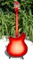 Rickenbacker 360/12 VP, Fireglo: Full Instrument - Rear