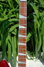 Rickenbacker 360/12 VP, Fireglo: Neck - Front