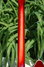 Rickenbacker 360/12 VP, Fireglo: Neck - Rear