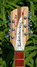 Rickenbacker 360/12 VP, Mapleglo: Headstock