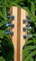 Rickenbacker 360/12 VP, Mapleglo: Headstock - Rear