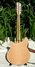 Rickenbacker 360/12 VP, Mapleglo: Full Instrument - Rear