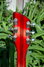 Rickenbacker 360/6 V64, Fireglo: Headstock - Rear