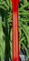Rickenbacker 360/6 V64, Fireglo: Neck - Rear