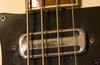 Rickenbacker 4001/4 , White: Close up - Free2