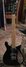 Rickenbacker 650/6 Colorado, Jetglo: Neck - Front