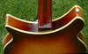 Rickenbacker 365/6 Capri, Autumnglo: Free image2