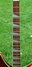 Rickenbacker 365/6 Capri, Autumnglo: Neck - Front