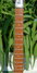 Rickenbacker 456/12 , Burgundy: Neck - Front