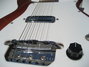 Rickenbacker 420/6 , Fireglo: Close up - Free