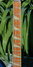 Rickenbacker 360/12 , Azureglo: Neck - Front