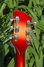 Rickenbacker 1996/6 f hole, Amber Fireglo: Headstock - Rear
