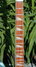 Rickenbacker 360/6 , Blue Boy: Neck - Front