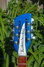 Rickenbacker 360/12 , Midnightblue: Headstock