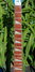 Rickenbacker 360/12 , Midnightblue: Neck - Front