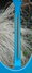 Rickenbacker 360/6 V64, Shaded Blue: Neck - Rear