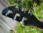 Rickenbacker 360/6 , Jetglo: Headstock - Rear