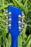 Rickenbacker 360/12 V64, Midnightblue: Headstock - Rear