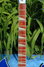 Rickenbacker 360/12 V64, Midnightblue: Neck - Front
