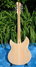 Rickenbacker 360/12 V64, Mapleglo: Full Instrument - Rear
