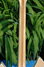Rickenbacker 360/12 V64, Mapleglo: Neck - Rear