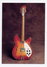 Rickenbacker 330/12 S, Fireglo: Full Instrument - Front
